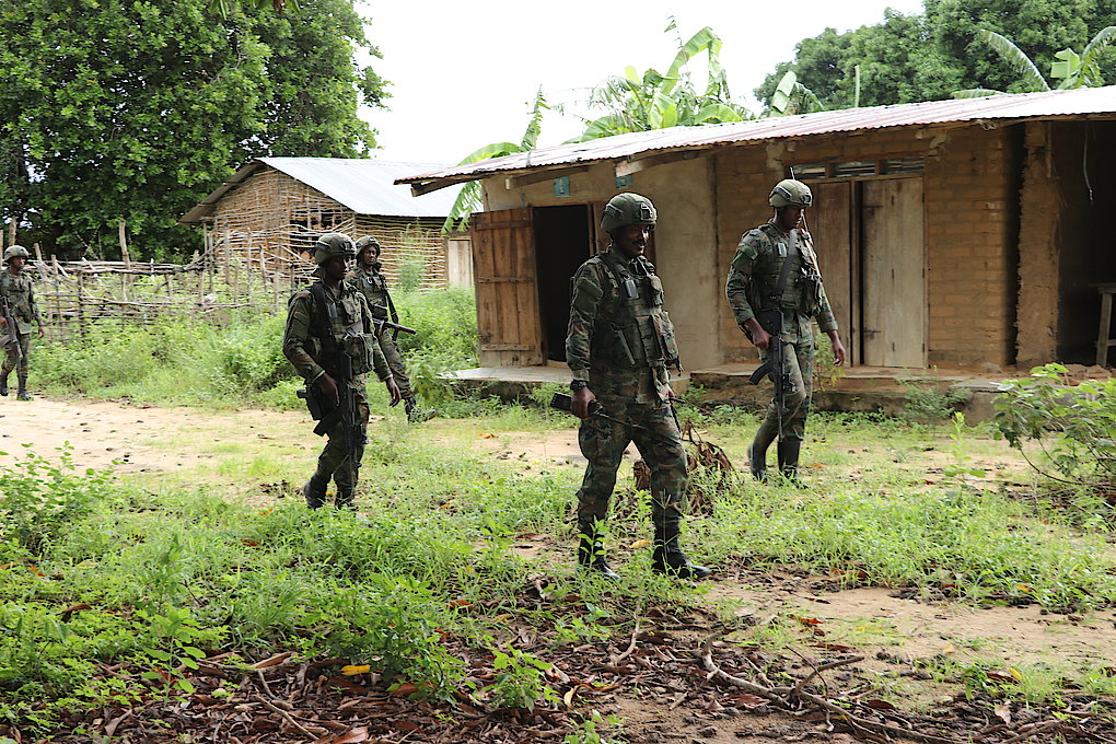 RDF